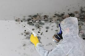 Best Environmental Consulting for Mold Prevention  in Cozad, NE